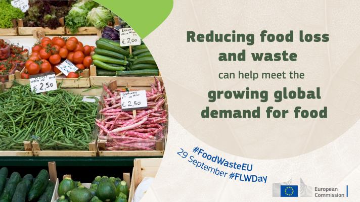 Reducing food loss can help meet the growing global demand for food