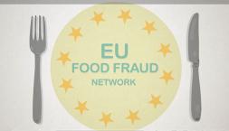 Food fraud Network - 2020