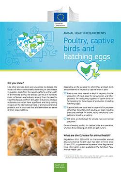 Factsheet: Poultry, Captive Birds and Hatching Eggs