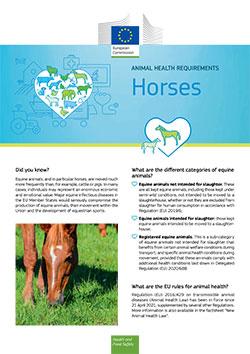 Factsheet: Horses