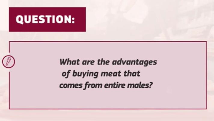 Production of educational materials on the production, the processing and the marketing of meat from uncastrated or immunocastrated pigs - retailer