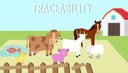 vid_traces_animal-traceability.jpg