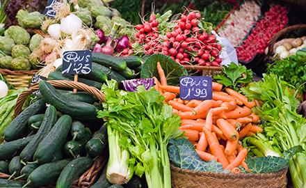 Guidelines on hygiene rules for small food retailers