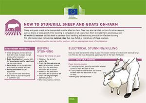 aw_prac_slaughter_factsheet-2018_farm_sheep.jpg
