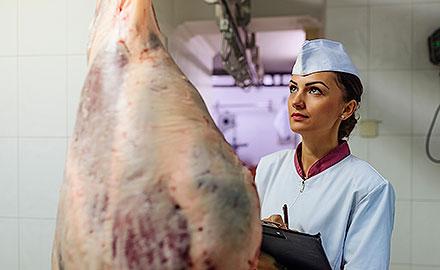 A more risk-based and transparent meat inspection