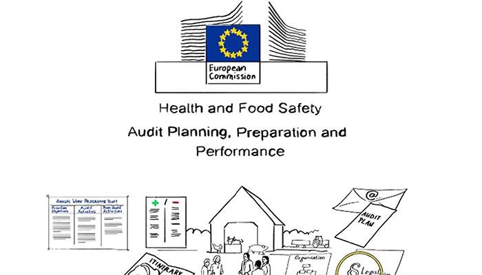 Audit reporting & monitoring of progress how recommendations are addressed