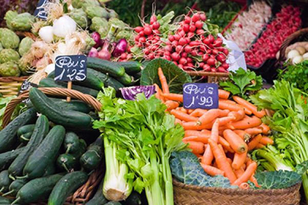Guidelines on hygiene rules for small food retailers