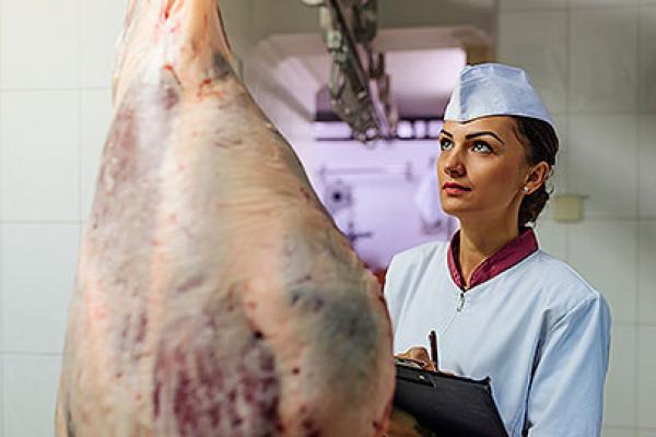 A more risk-based and transparent meat inspection