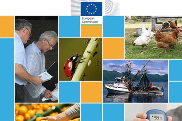 Health and food audits and analysis - Programme 2021 published