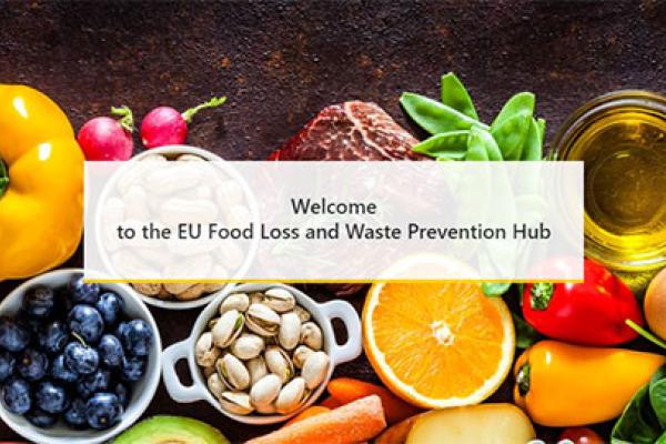 EU Food Loss and Waste Prevention Hub